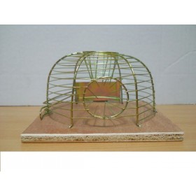 Cursa pentru soareci TTP37